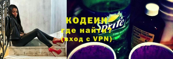 хмурый Арсеньев