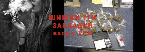 хмурый Арсеньев