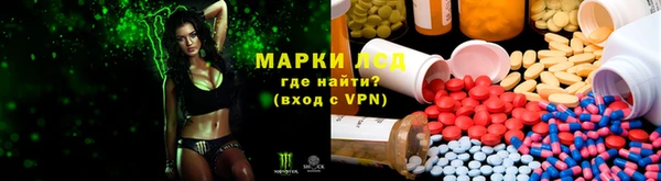 хмурый Арсеньев