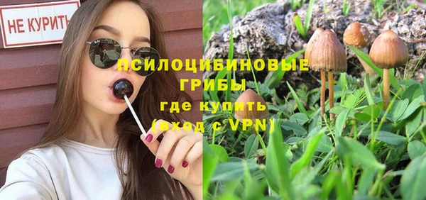 хмурый Арсеньев