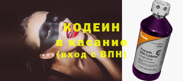хмурый Арсеньев