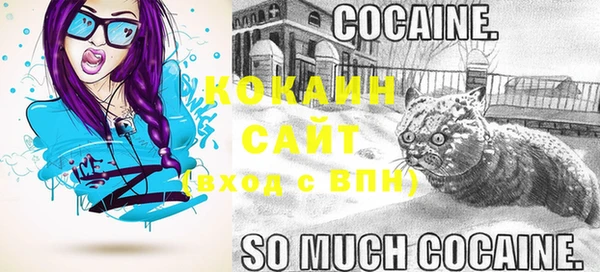 хмурый Арсеньев