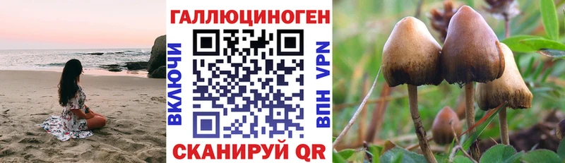 Галлюциногенные грибы мицелий  Пустошка 
